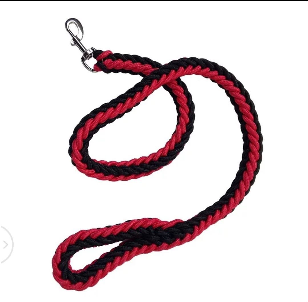 Big Leash